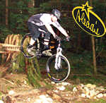 Hladik Signature Bikes - European handmade mountain bikes