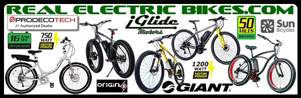 Real Electric Bikes.com - super cool electric pedal assist bicycles or all types
